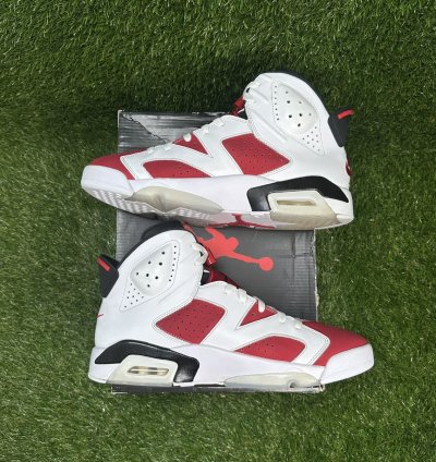 Air Jordan 6 Carmine 2021