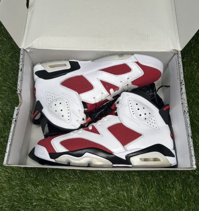Air Jordan 6 Carmine 2021