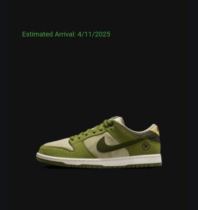 Yuto Horigome Nike Sb Dunk Low Pro Matcha Green Men