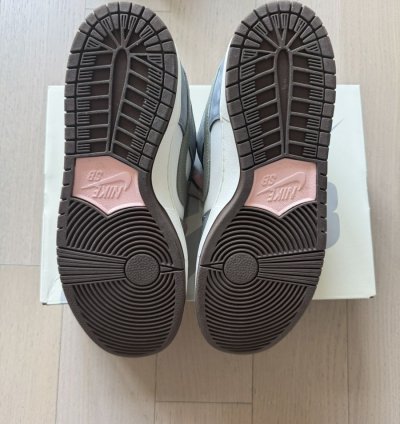 Yuto Horigome Nike Sb Dunks
