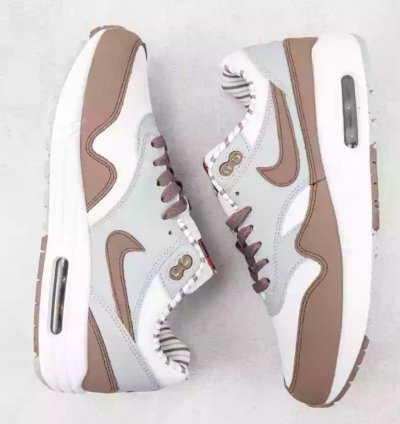 Nike Air Max 1 Premium shima Shima Iii