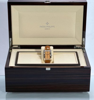 Patek Philippe Grand Complications 10-day Tourbillon 5101p-010
