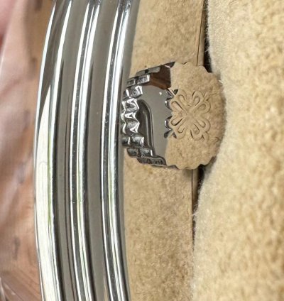 Patek Philippe Grand Complications 5101p-010