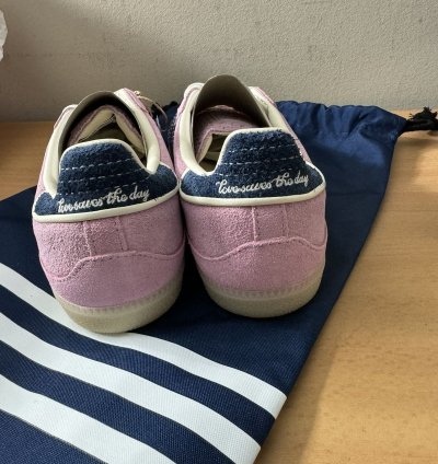 Notitle Pink Samba