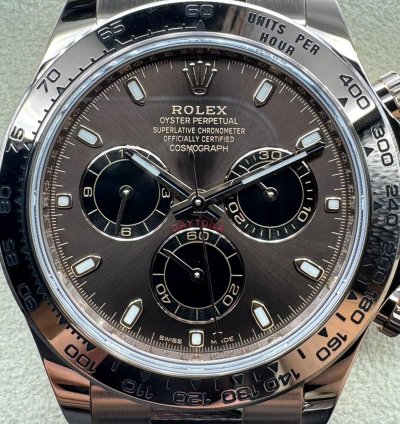 Rolex Daytona Chocolate Dial Unworn