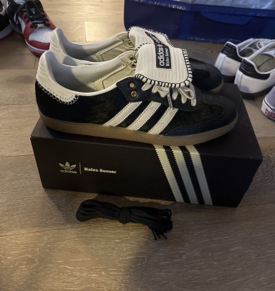 Wb Pony Tonal Samba