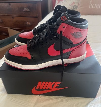 Air Jordan 1 Bred Banned