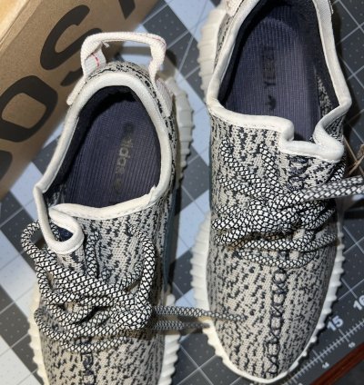 Yeezy 350 Turtle Dove Ds Size 5 5 Us Turtledove