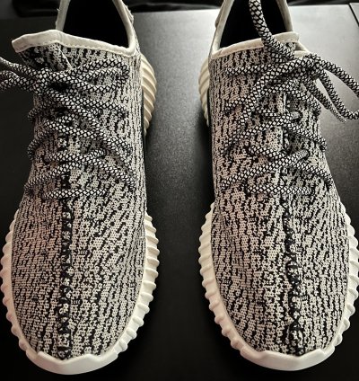 Yeezy 350 Turtledove