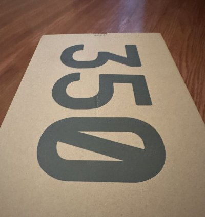 Yeezy 350 V2 Bone 12 5