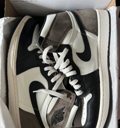 Air Jordan 1 Mocha Retro High Og