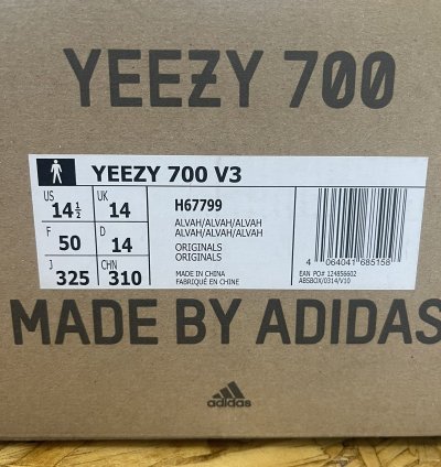Yeezy 700 V3 Alvah 14 5