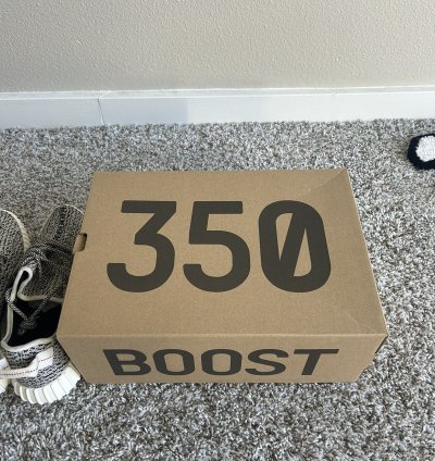 Yeezy Adidas 350 Boost Turtledove