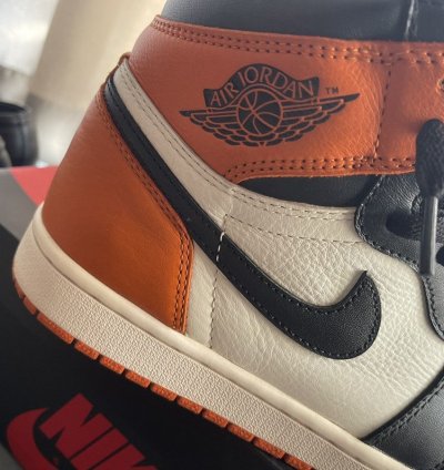 Air Jordan 1 Shattered Backboard