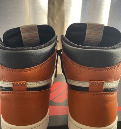 Air Jordan 1 Shattered Backboard