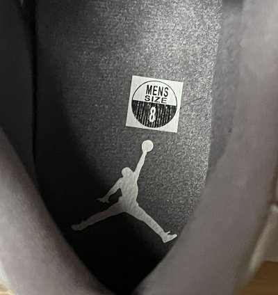 Air Jordan 11 Cool Grey