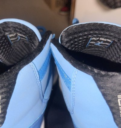 Air Jordan 11 Pantone 2014