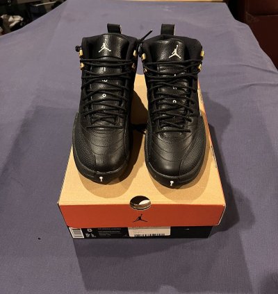Air Jordan 12 Retro The Master 2016