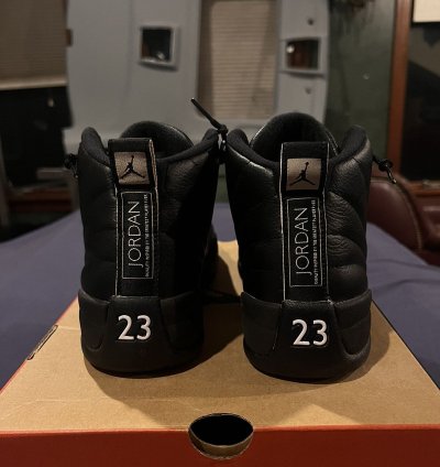 Air Jordan 12 Retro The Master 2016