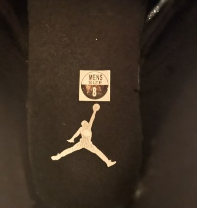 Air Jordan 12 Retro The Master 2016
