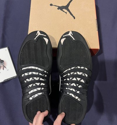 Air Jordan 12 Retro The Master 2016