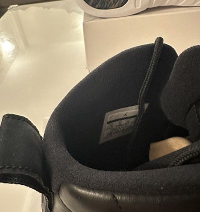 Air Jordan 12 Retro Wings