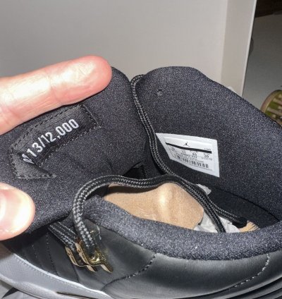 Air Jordan 12 Retro Wings