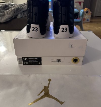 Air Jordan 12 Retro Wings