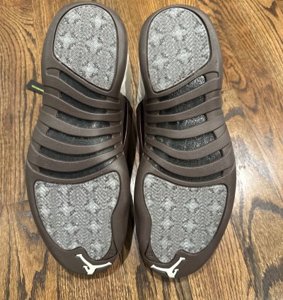 Air Jordan 12 Solefly