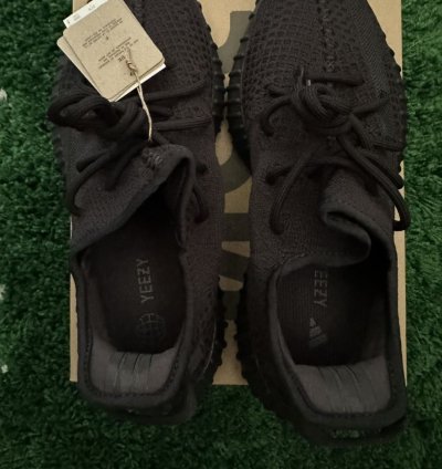 Yeezy Onyx 350