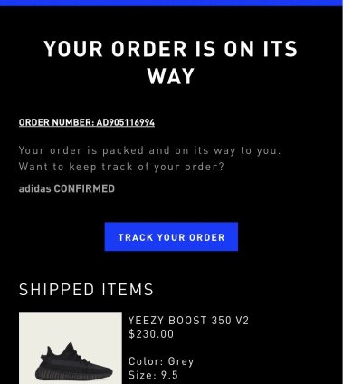 Yeezy Onyx 350