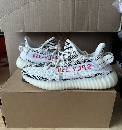 Zebra Yeezy