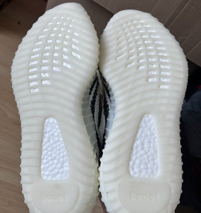 Zebra Yeezy