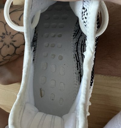 Zebra Yeezy