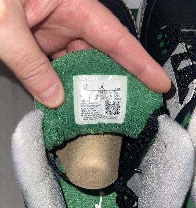Air Jordan 3 Pine Green Ds Size 10