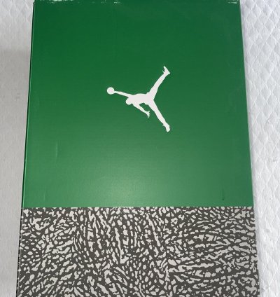 Air Jordan 3 Pine Green Ds Size 10