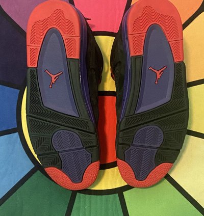 Air Jordan 4 Retro Nrg Raptors