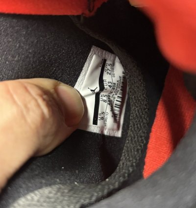 Air Jordan 4 Retro Raptor