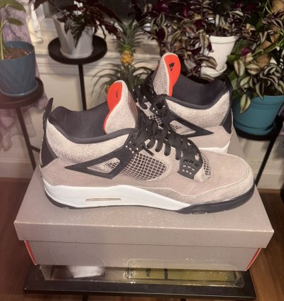 Air Jordan 4 Retro Taupe Haze