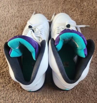 Air Jordan 5 Grape 2013