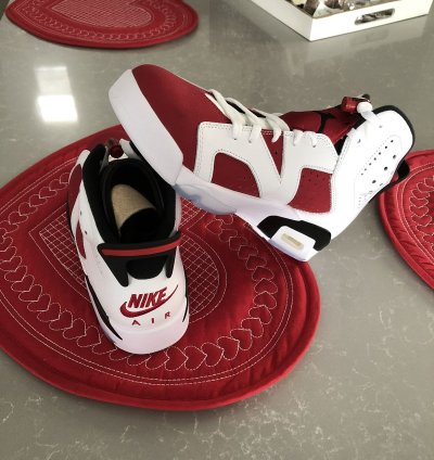 Air Jordan 6 Carmine