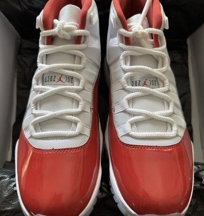 Air Jordan Retro 12s And 11s Bundle Order