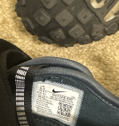 Catcus Plant Flea Market Nikes
