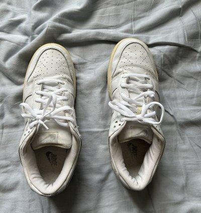 2002 Nike Dunk Low Pro Sb White Grey Patent Leather