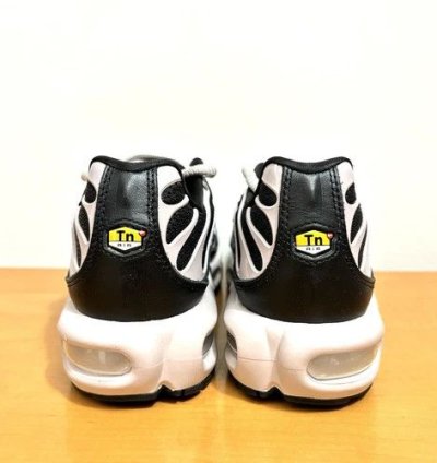 1 1 Nike Air Max Plus Nude Black