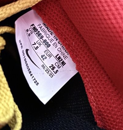 1 1 Nike Dunk Low Red Blue Yellow White
