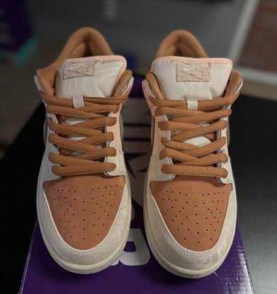 10 5 Nike Sb Dunk Low Trocadero Gardens fv5926-200