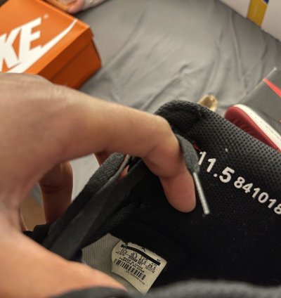 Jordan 1 Bred 2016 Size 11 5