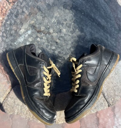 2003 Nike Dunk Sb Ostrich