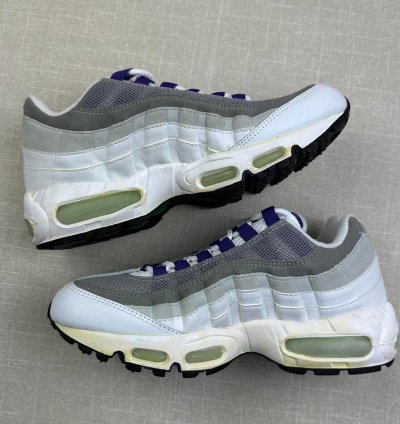 2005 Nike Air Max 95 Wild Grape